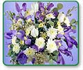 Flowers 1