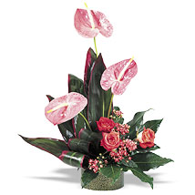 Flowers 6